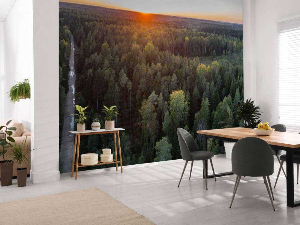 Zdjęcie lotnicze jesiennych drzew