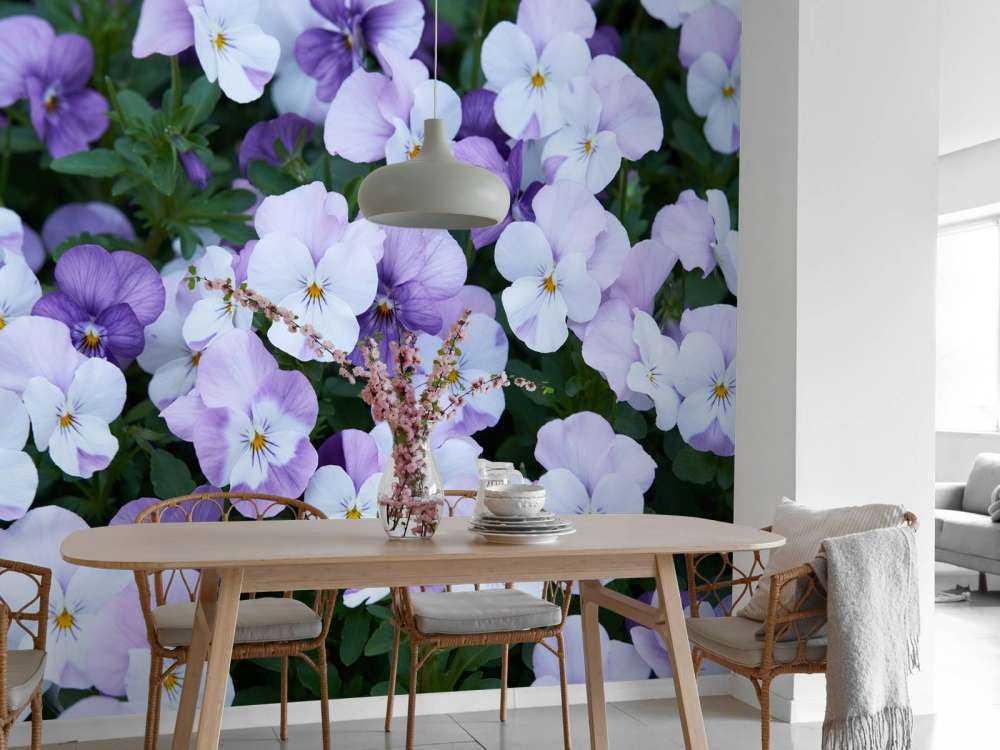 Fioletowobiałe skrzypce