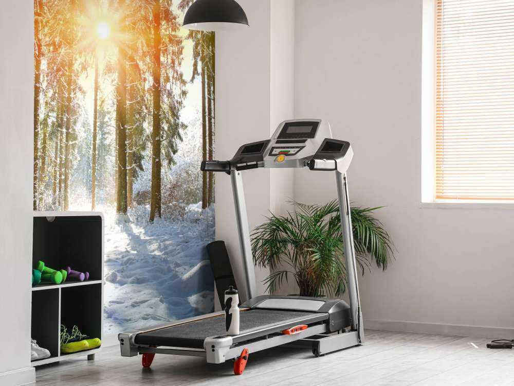 Światło słoneczne w zimowym lesie