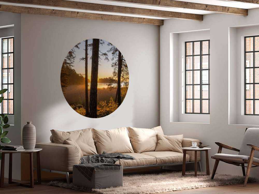 Las o zachodzie słońca