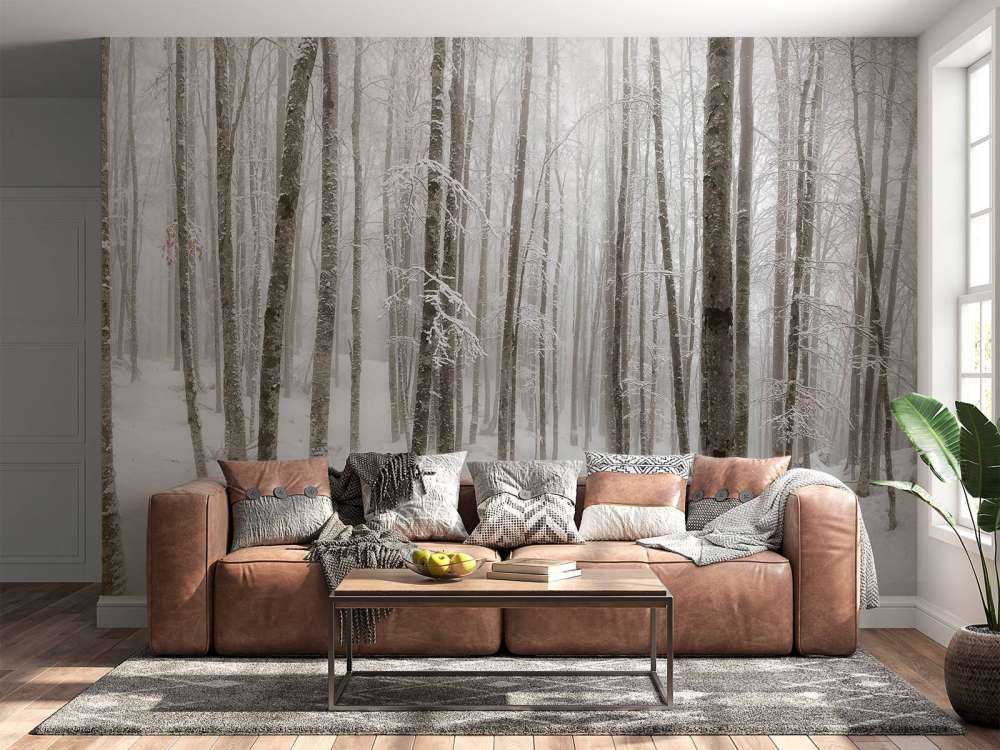 Śnieg w lesie bukowym