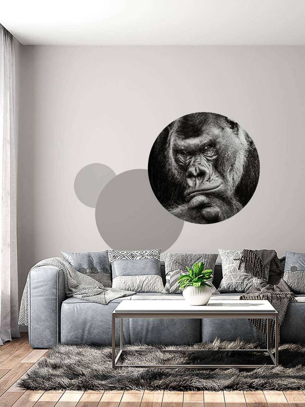 Zbliżone zdjęcie goryla