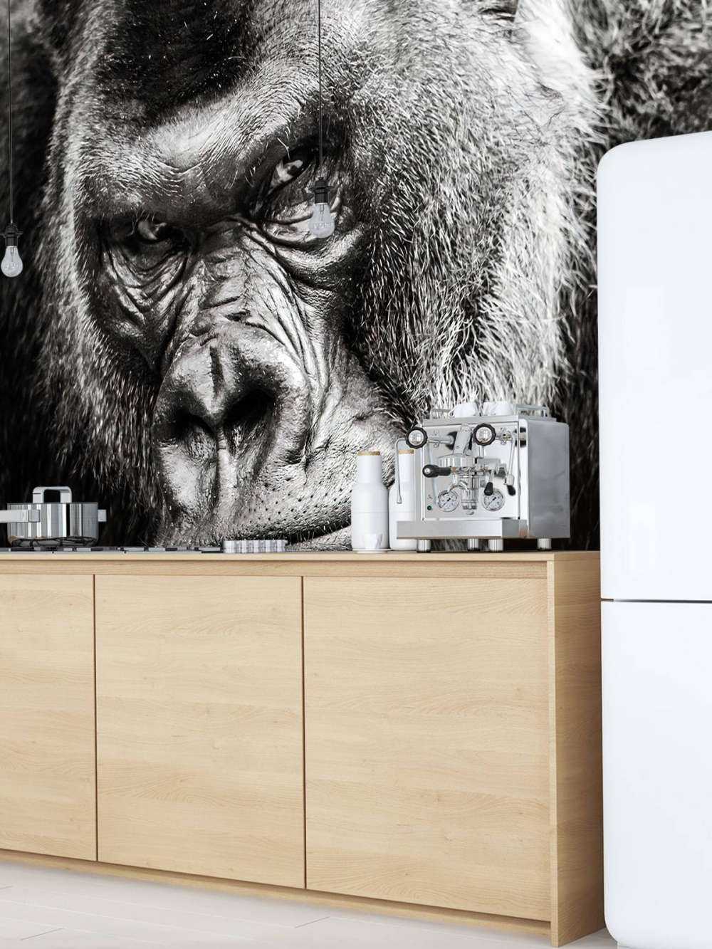 Zbliżone zdjęcie goryla