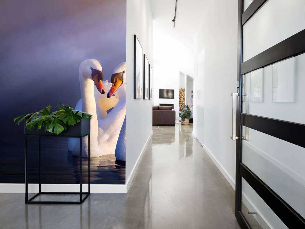 Kocham parę białych łabędzi