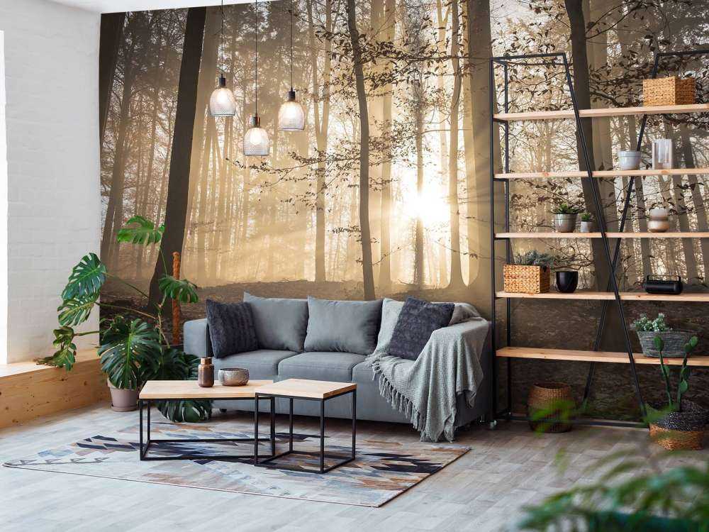 Słońce w mglistym lesie