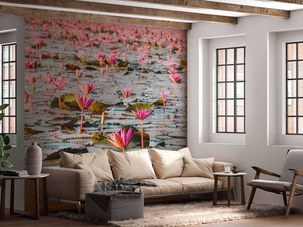 Morze kwiatów lotosu