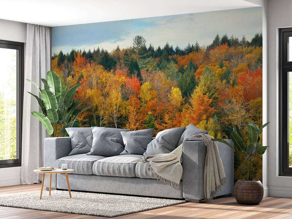 Jezioro z jesiennymi drzewami