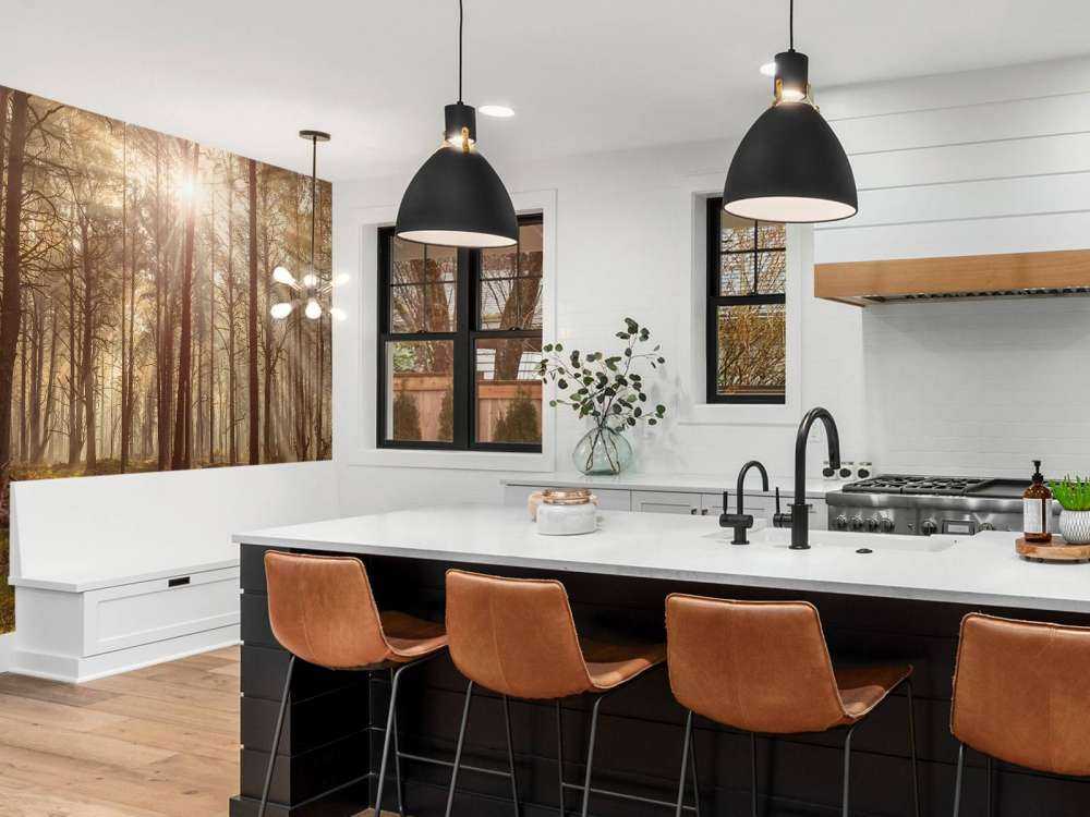 Las z wysokimi drzewami