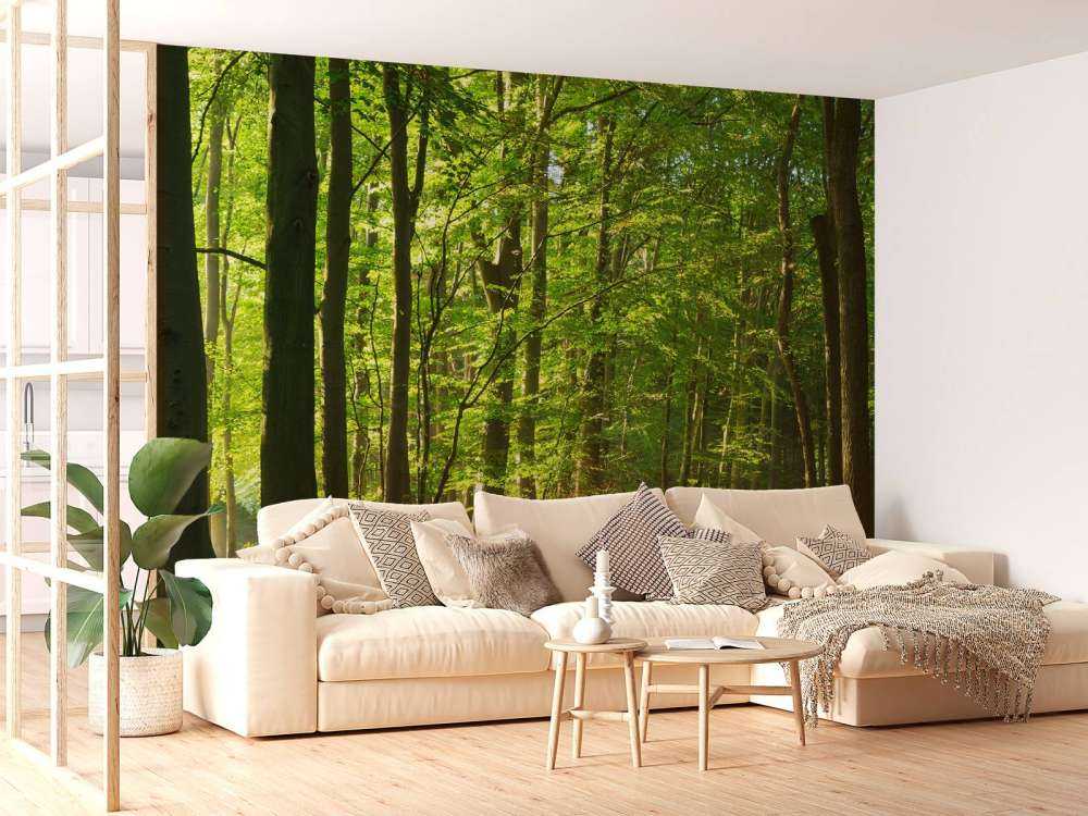 Słoneczna droga przez las