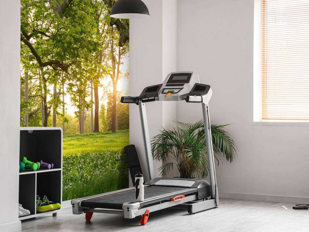 Otwarta przestrzeń w lesie