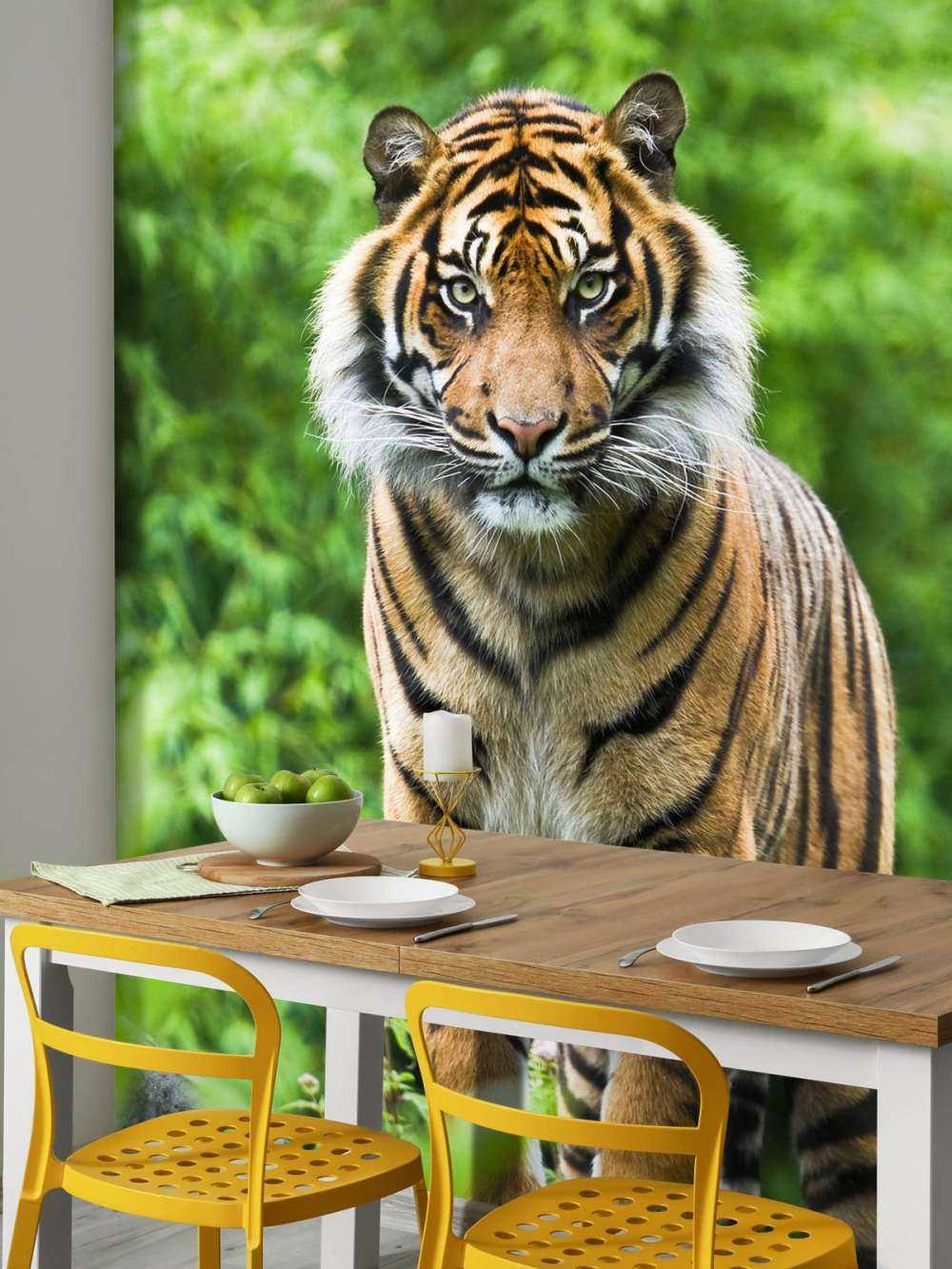 Tygrys stojący na kamieniu