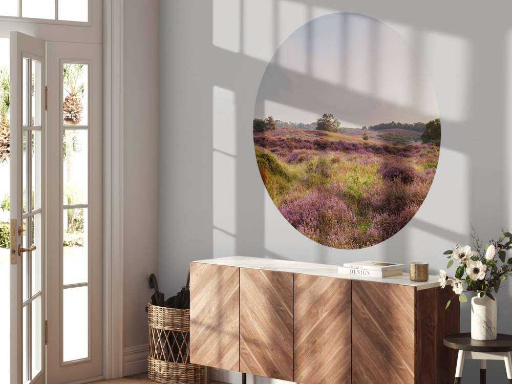 Heathland o wschodzie słońca