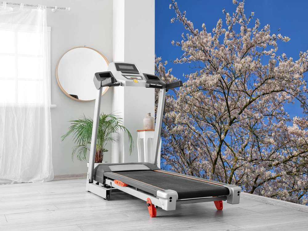 Kwiat z błękitem nieba