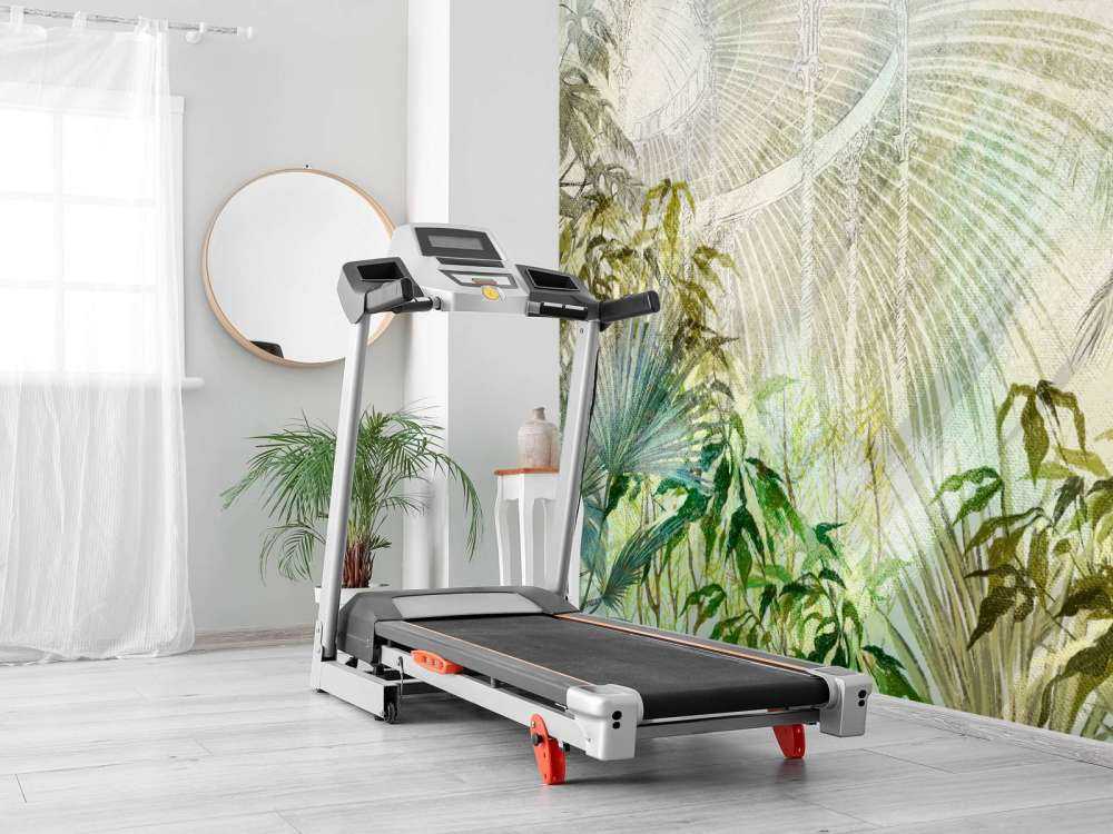 Szklarnia z roślinami tropikalnymi