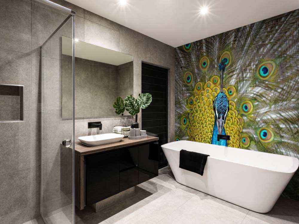 Widok z przodu pawia