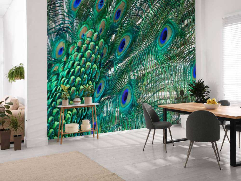 Kolorowe upierzenie pawia