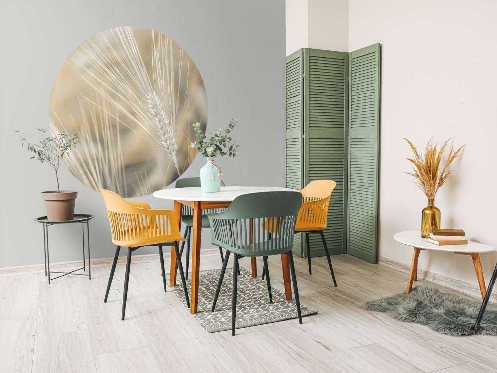 Zbliżenie na pszenicę