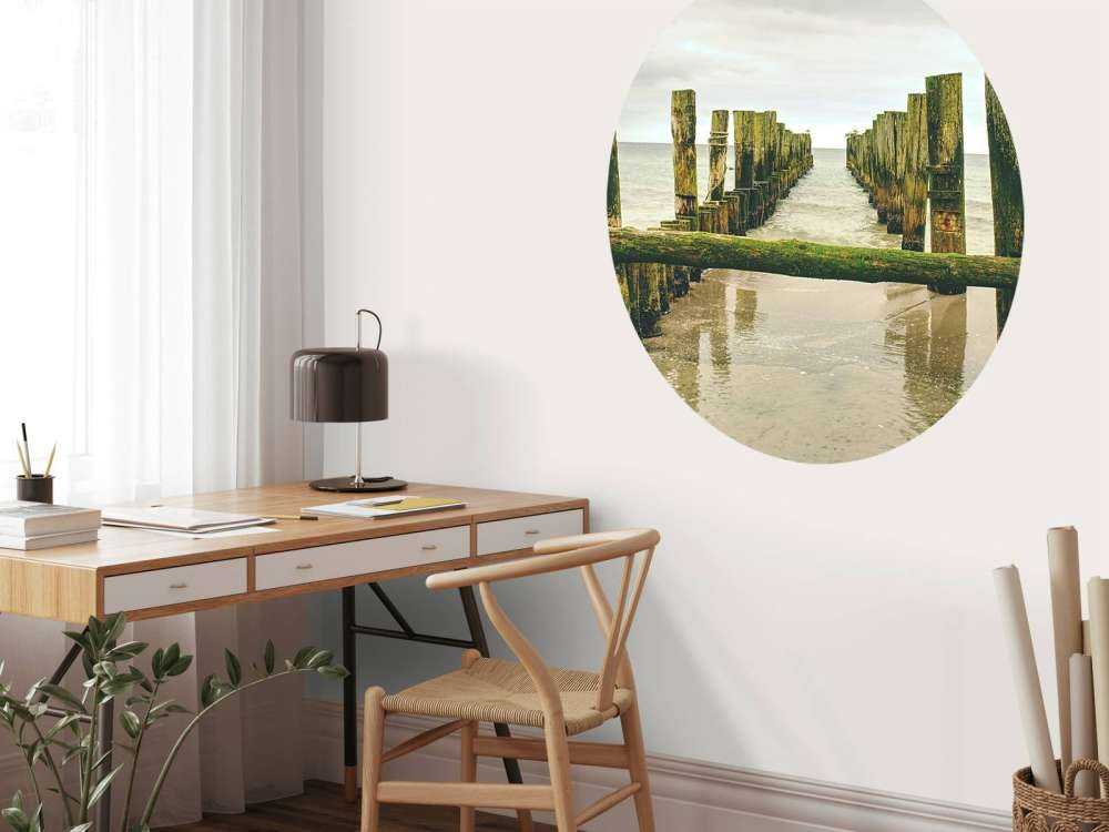 Mossy pile heads in the water