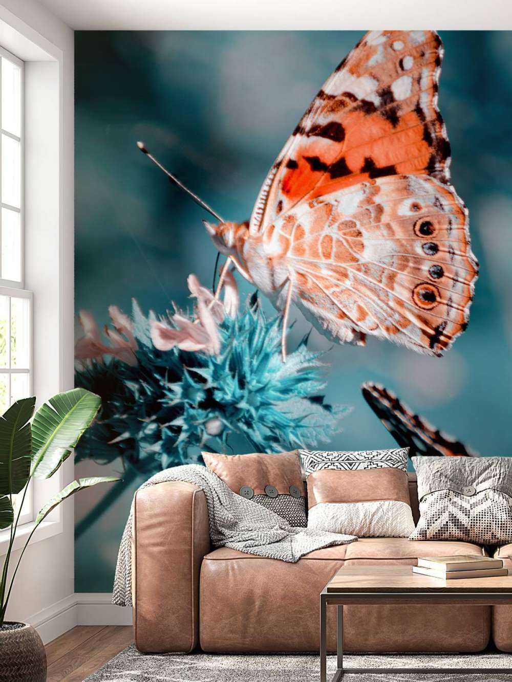 Motylki pomarańczowe