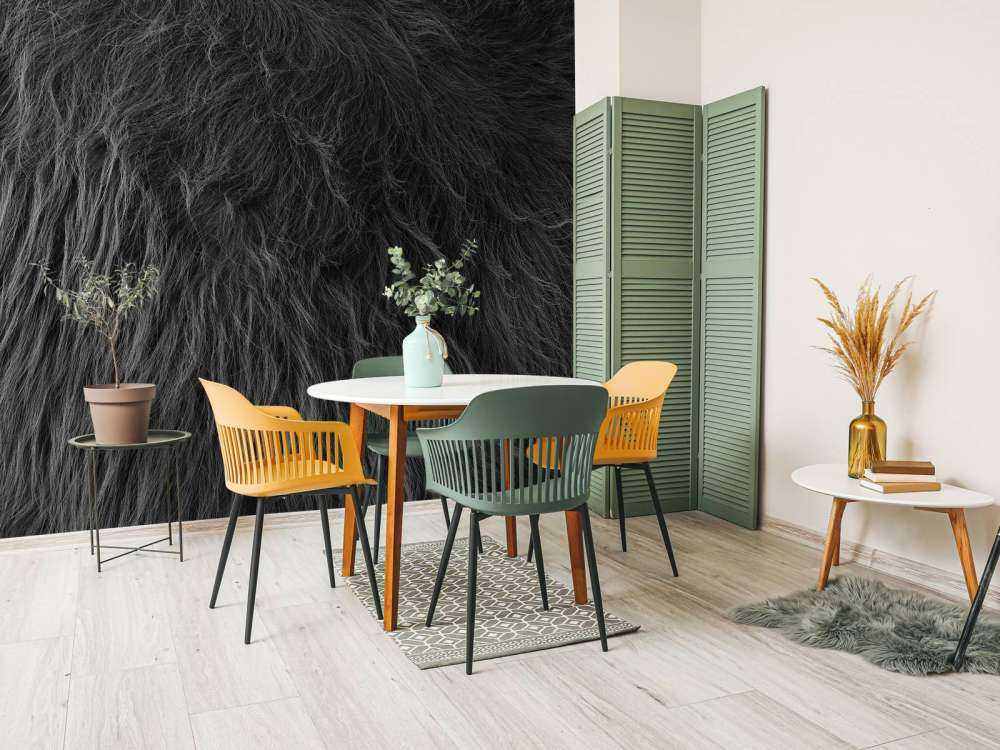 Sierść szkockiego wyżynna w kolorach czarno-białym