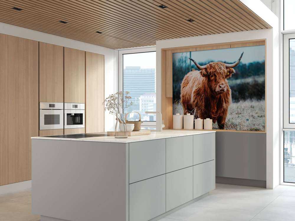 Szkocki wyżyn w lesie