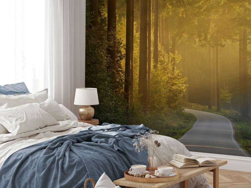 Wschód słońca w drodze przez las