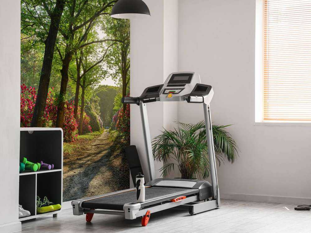 Wschód słońca na ścieżce z rododendronami