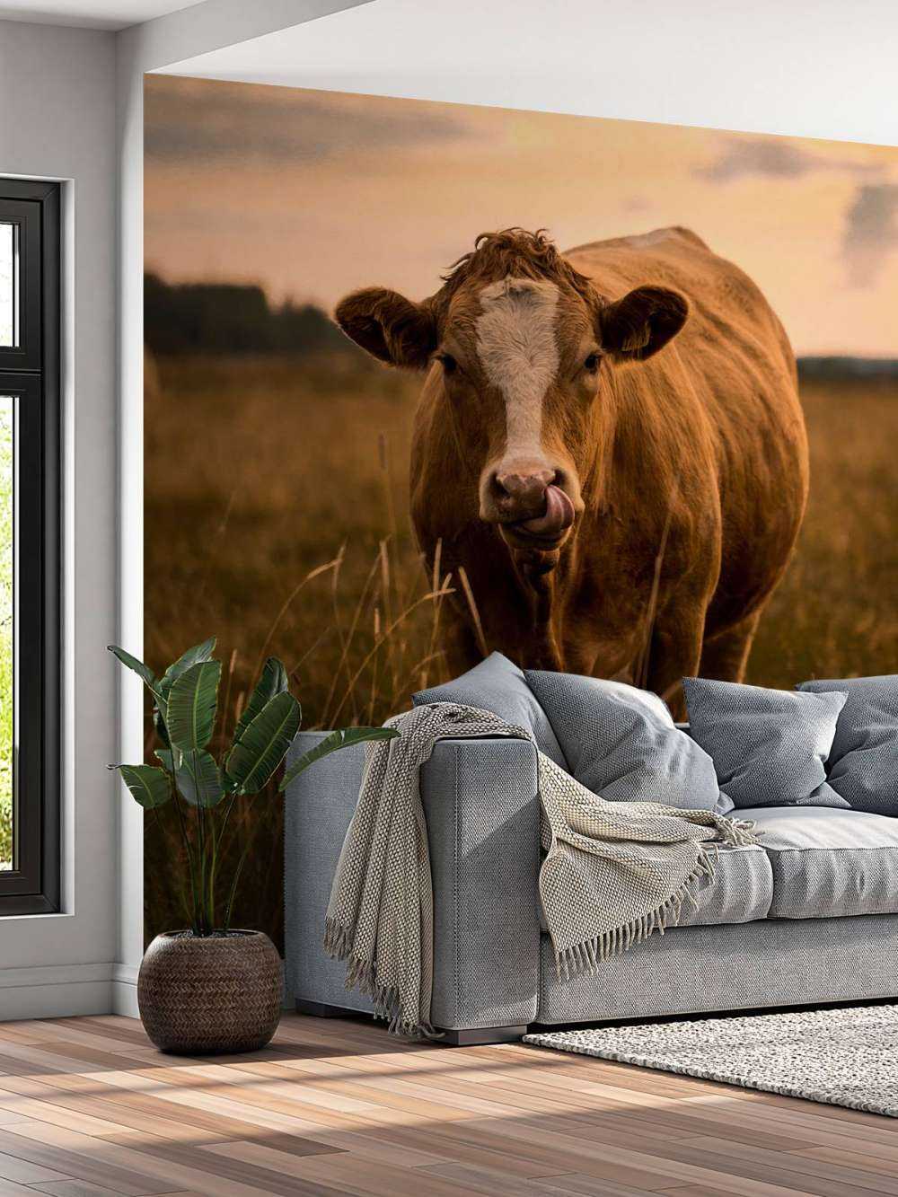 Krowa z językiem w nosie