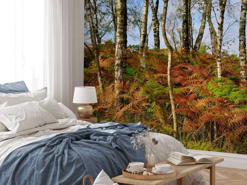 Brzozy z kolorowymi paprociami