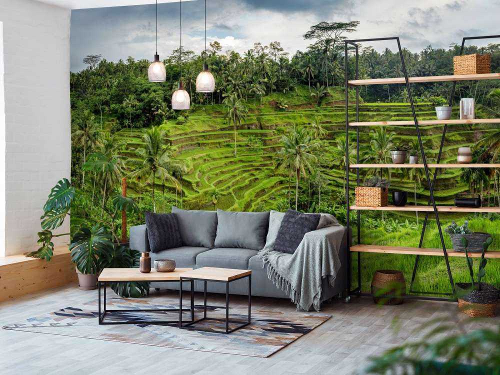 Tajlandzkie pola ryżowe