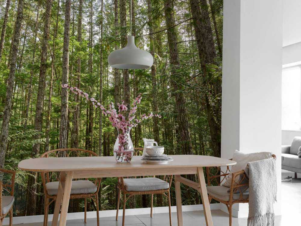 Cienkie drzewa w lesie