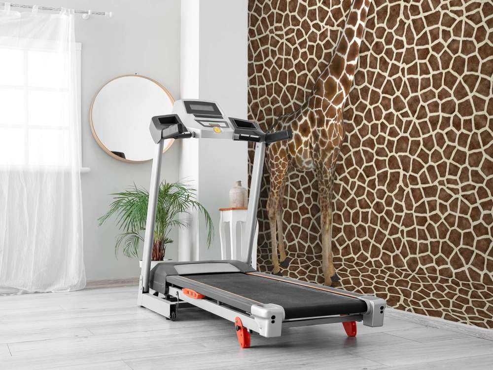 Zakamuflowana żyrafa