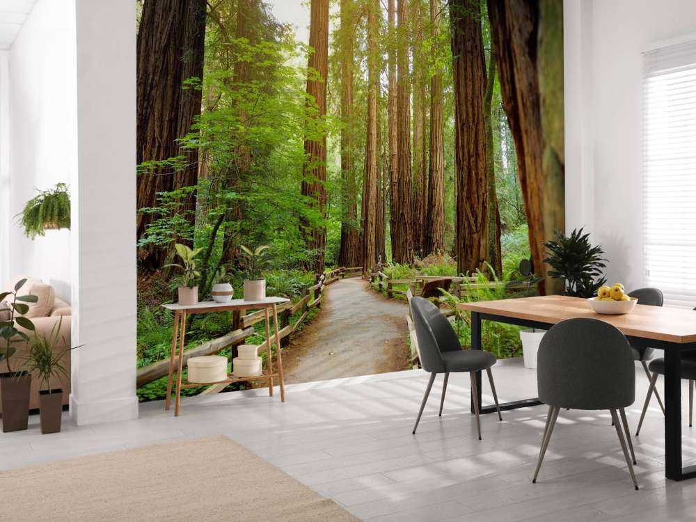 Wysokie drzewa w parku