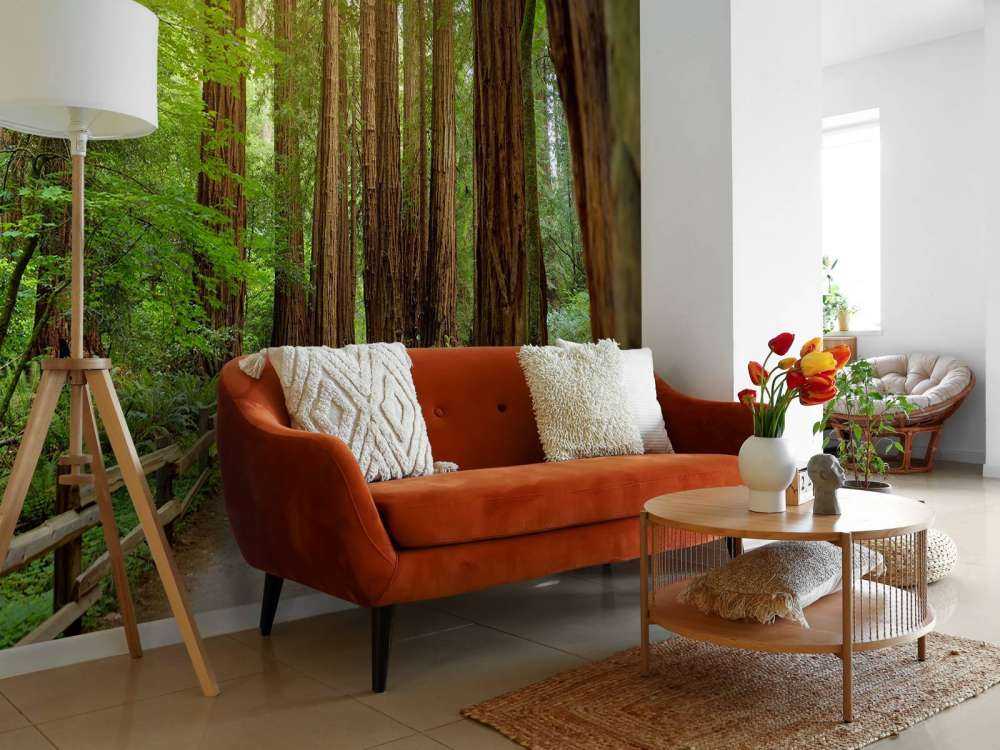 Wysokie drzewa w parku