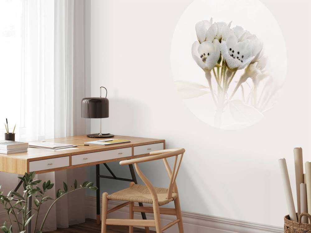 Zbliżenie kwiatu gruszki