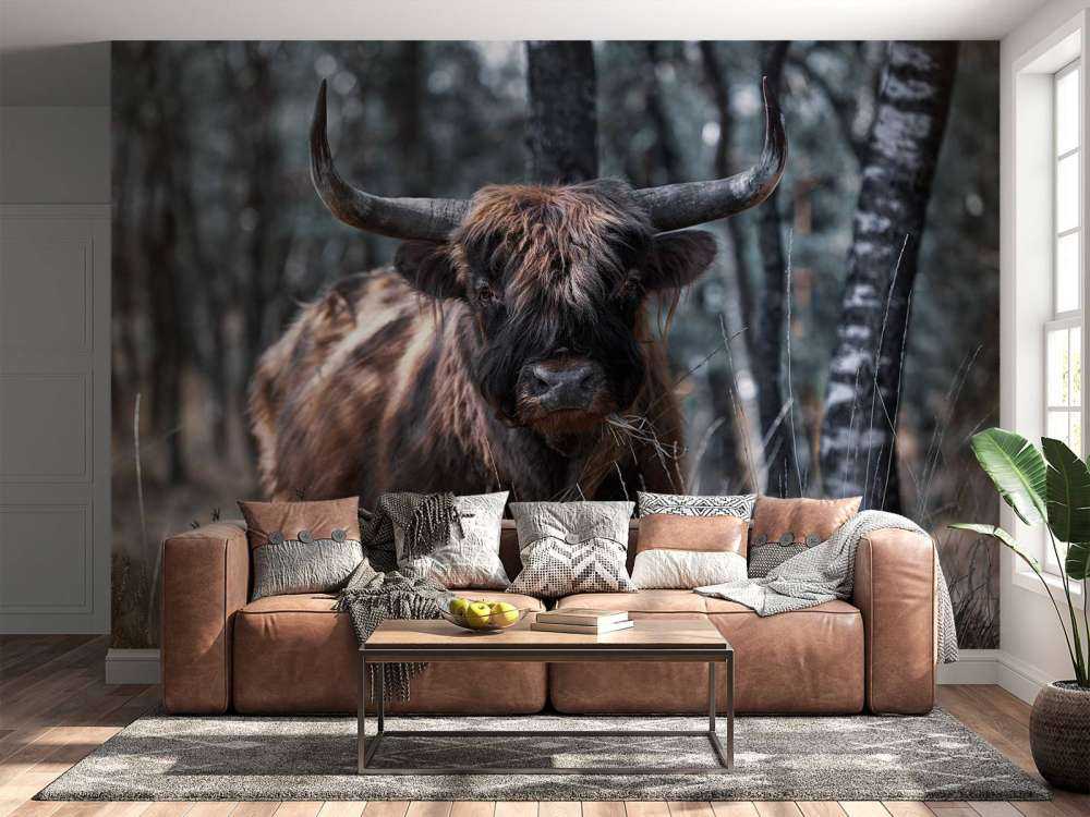 Szkocka rasa wyżynna