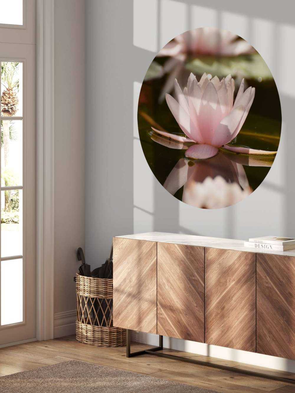 Kwiat lotosu w wodzie