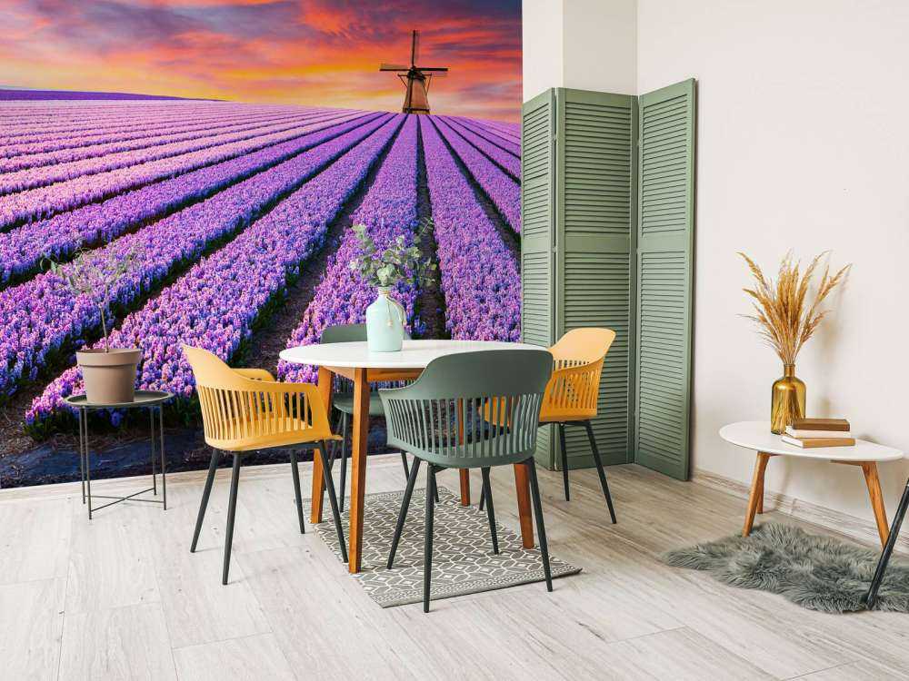 Szafirek Niebieski Muscari