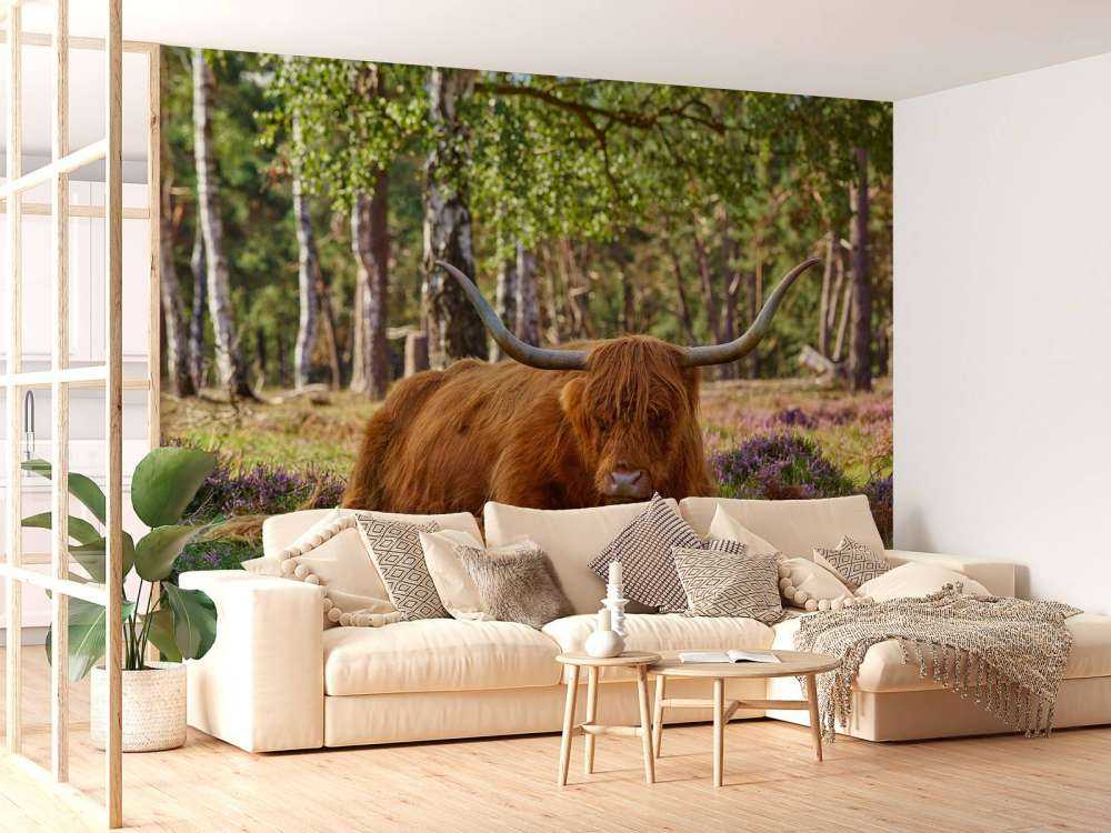 Odpoczywająca szkocka rasa wyżynna