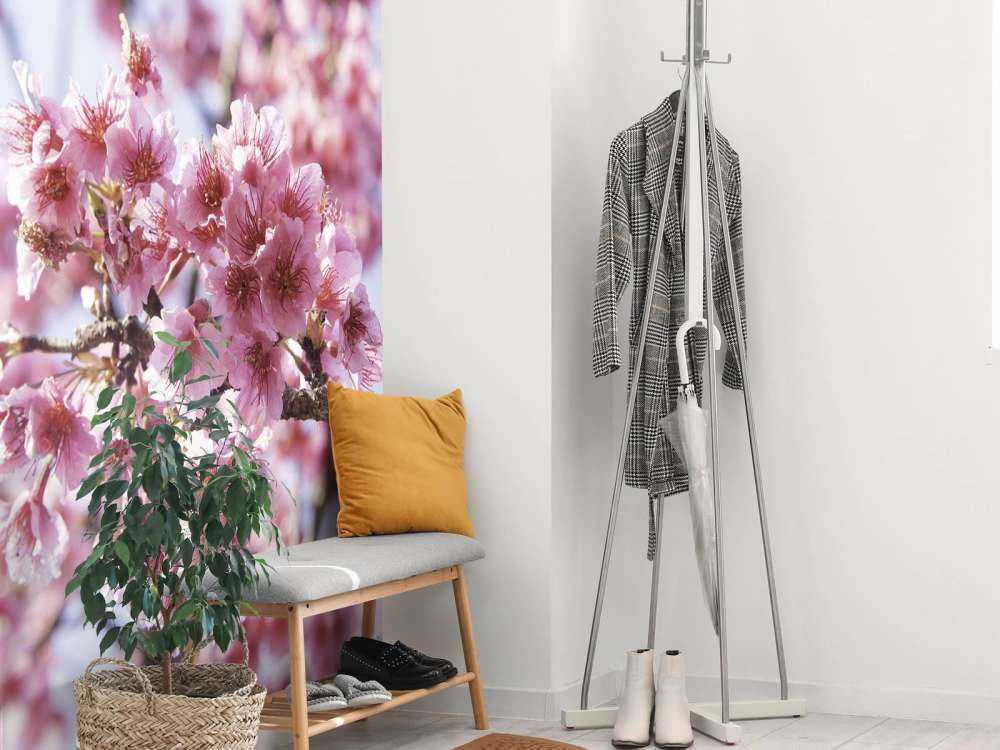 Zbliżenie na różowego kwiatka