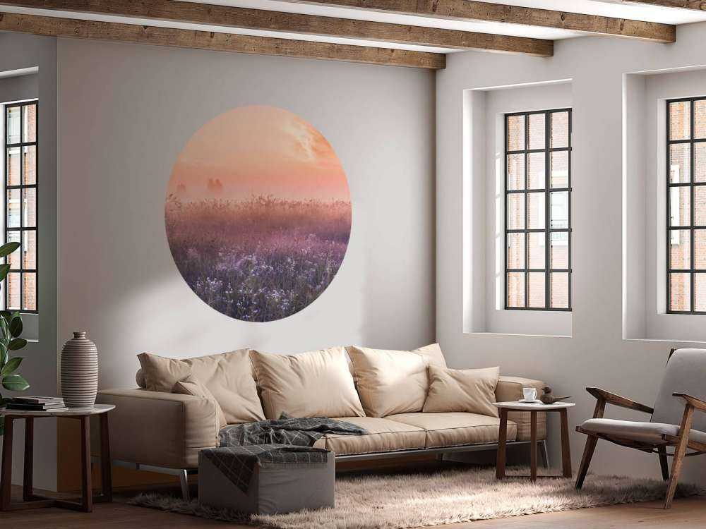 Pole z poranną mgłą