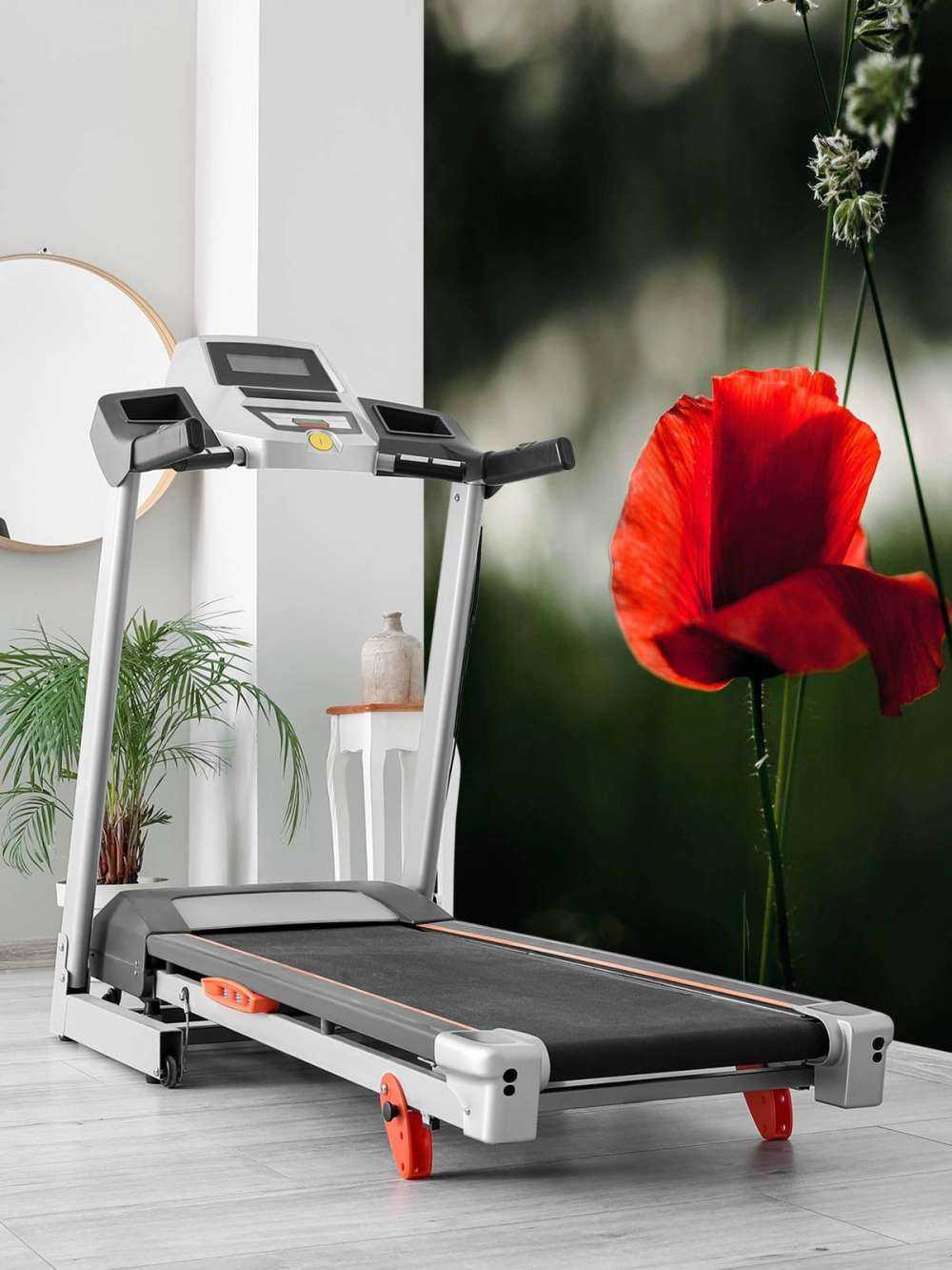 Czerwony mak z trawą