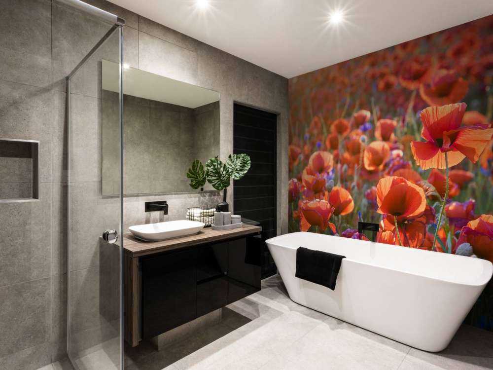 Maki w wieczornym świetle