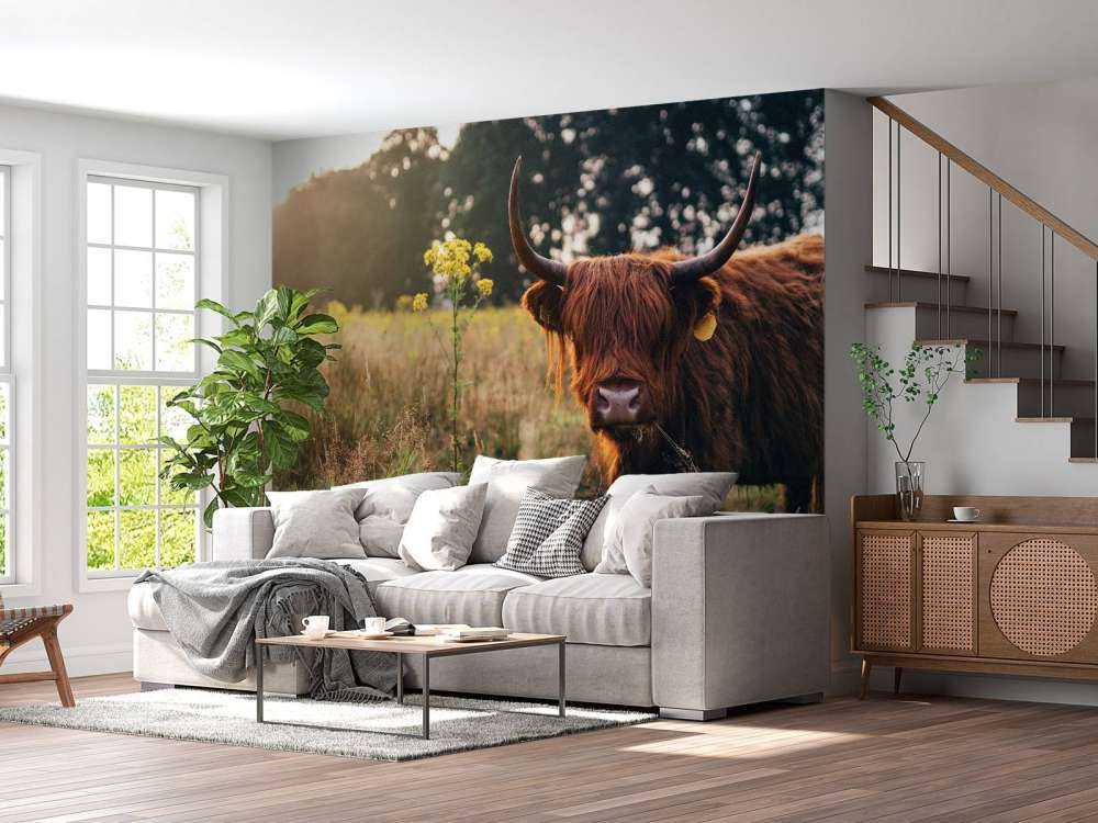 Szkocki wyżyn w wysokiej trawie