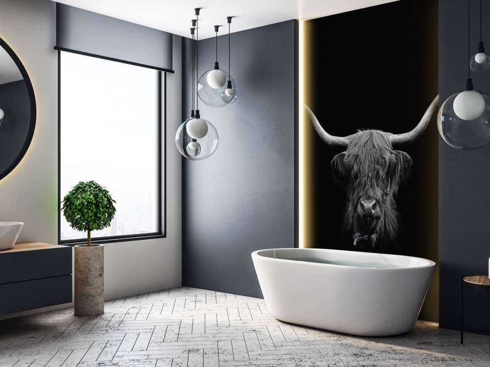 Czarno-biała szkocka rasa wyżynna