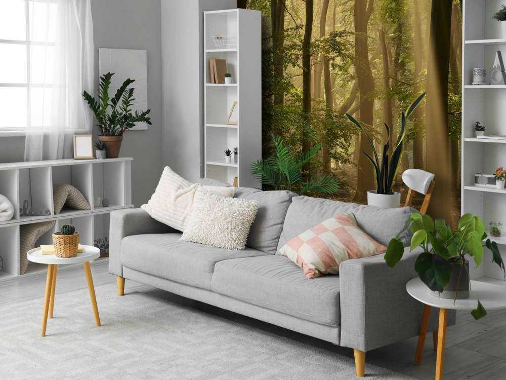 Stary las z osłonami przeciwsłonecznymi