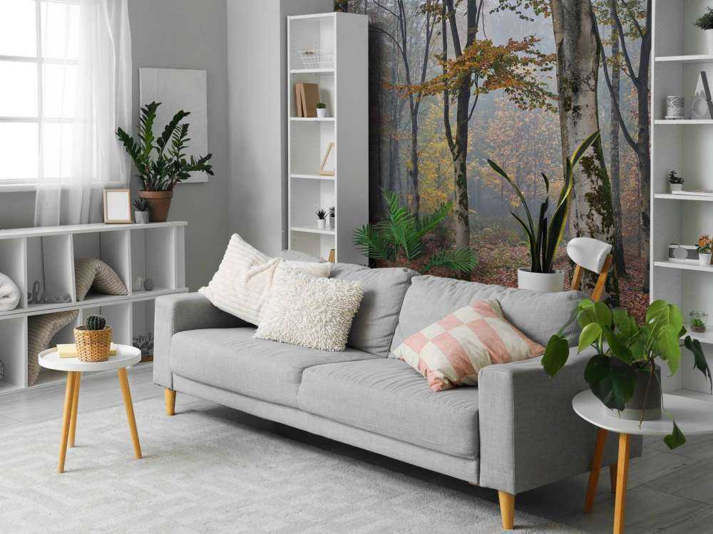 Jesienny las brzozowy