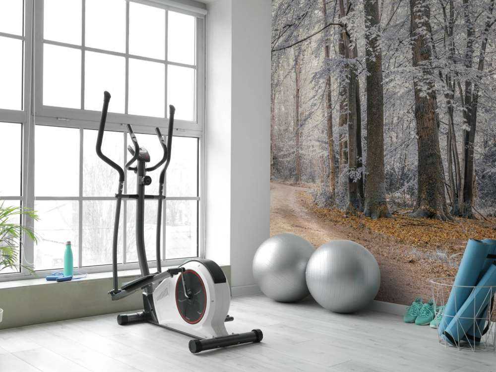 Drzewa z białymi liśćmi