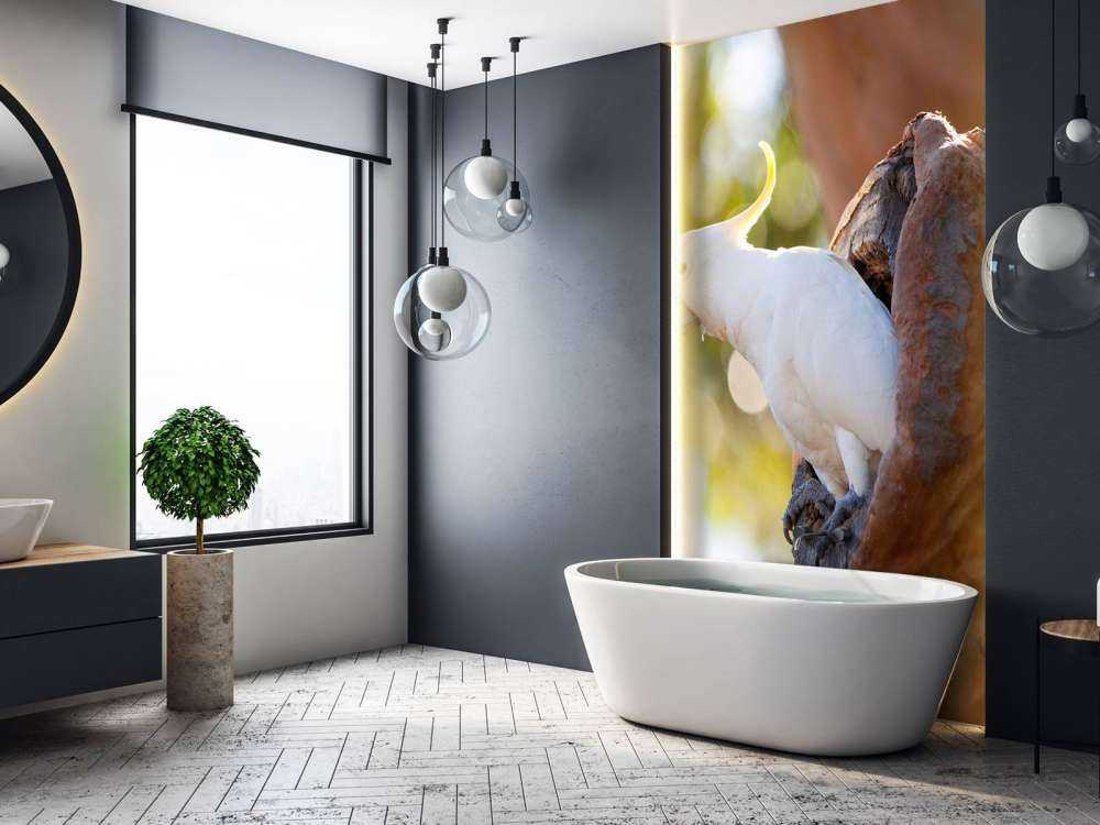 Kakadu w dziupli drzewa