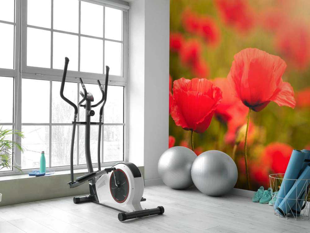 Maki o wschodzie słońca